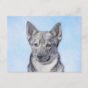 Postal Pintura de Vallhund Sueca - Arte Perro Original Cu