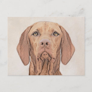 Postal Pintura de Vizsla - Arte Perro Original.