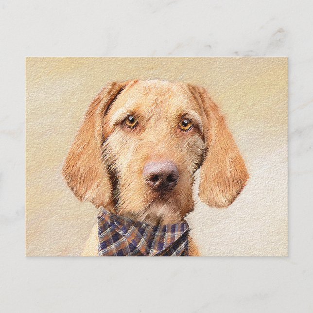 Postal Pintura de Vizsla con cabello alambrado - Arte Per (Anverso)