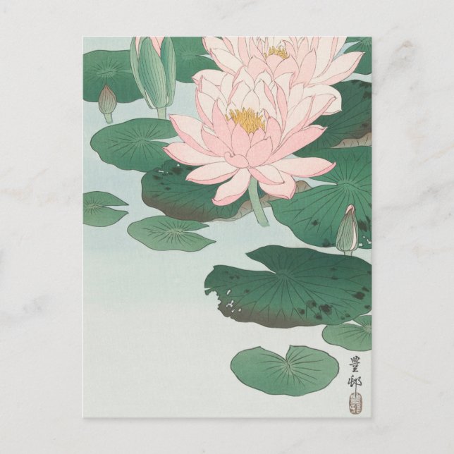 Postal Pintura de Water Lily por Ohara Koson Postcard (Anverso)