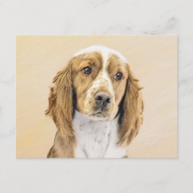 Postal Pintura de Welsh Springer Spaniel - Arte de Perro  (Anverso)