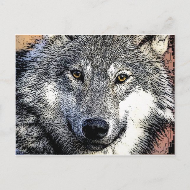 Postal Pintura de Wolf Eyes (Anverso)