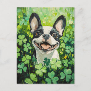 Postal Pintura del campo del trébol de Boston Terrier