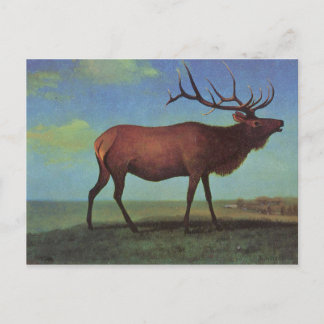 Postal Pintura Elk