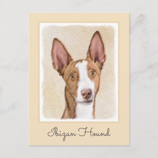 Postal Pintura enredadera ibicenca - Arte de perro origin (Anverso)
