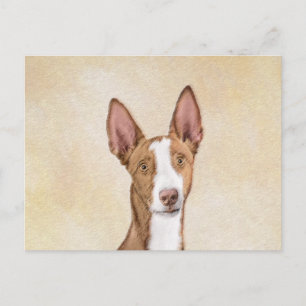 Postal Pintura enredadera ibicenca - Arte de perro origin