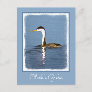 Postal Pintura gris de Clark - Arte de pájaro original