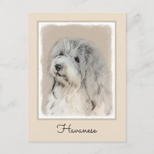 Postal Pintura Havanesa (Dorada Sable) - Arte Perro Origi