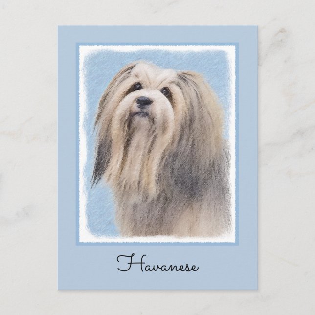 Postal Pintura Havanesa (plateada) - Arte de Perro Origin (Anverso)
