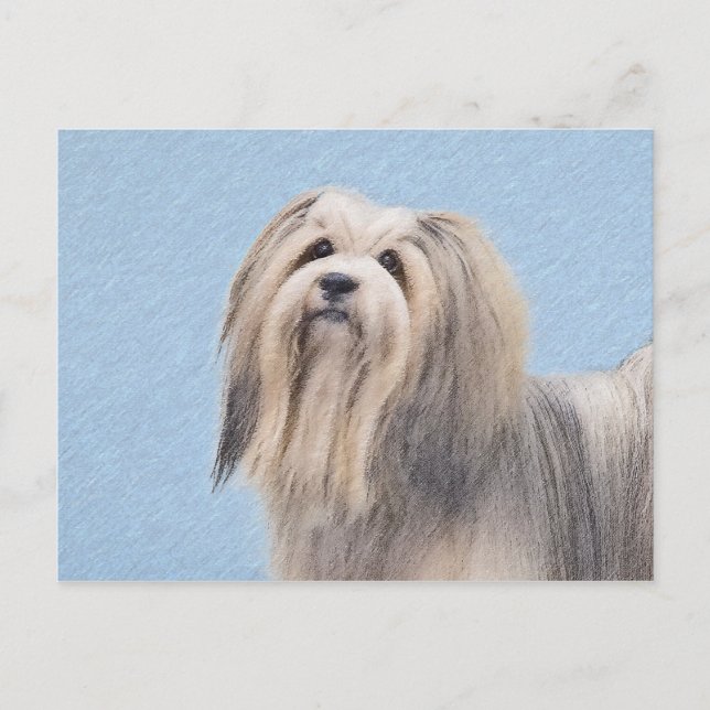 Postal Pintura Havanesa (plateada) - Arte de Perro Origin (Anverso)