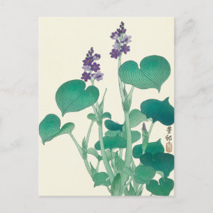 Postal Pintura husta en flor de Ohara Koson
