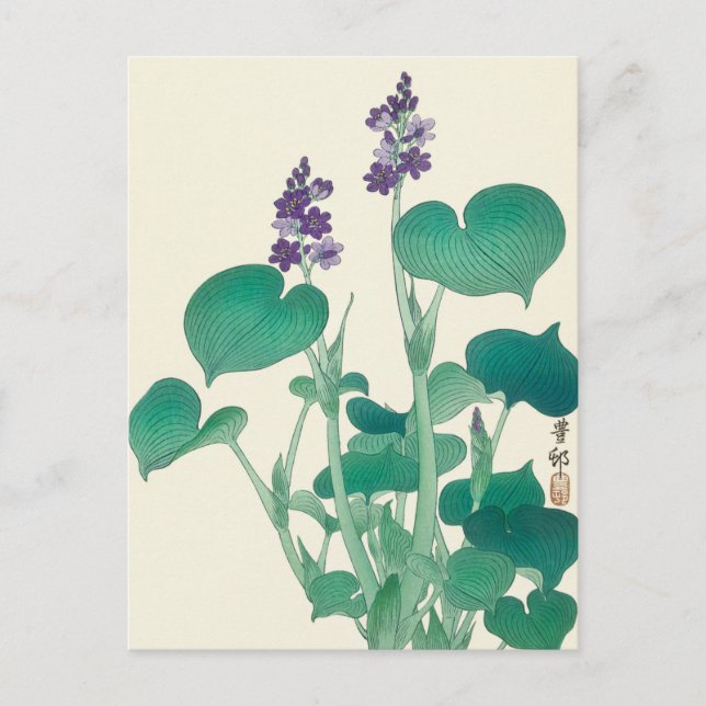 Postal Pintura husta en flor de Ohara Koson (Anverso)