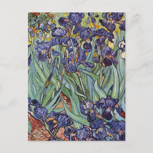 Postal Pintura impresionista de Van Gogh Irises (Anverso)