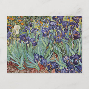 Postal Pintura impresionista de Van Gogh Irises