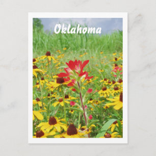 Postal pintura india de julio de 2007, Oklahoma
