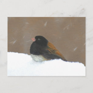 Postal Pintura Junco de Ojos Oscuros - Arte de pájaro ori