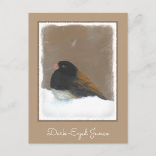 Postal Pintura Junco de Ojos Oscuros - Arte de pájaro ori
