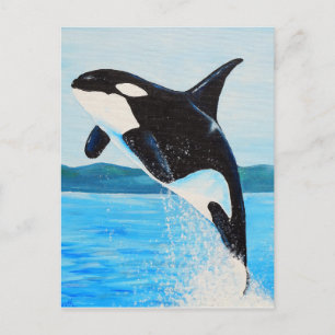 Postal Pintura Orca