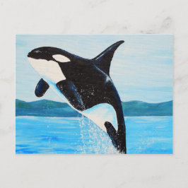 Postal Pintura Orca