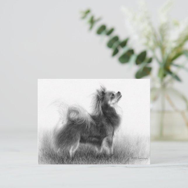 Postal Pintura original de Chihuahua (Anverso de pie)