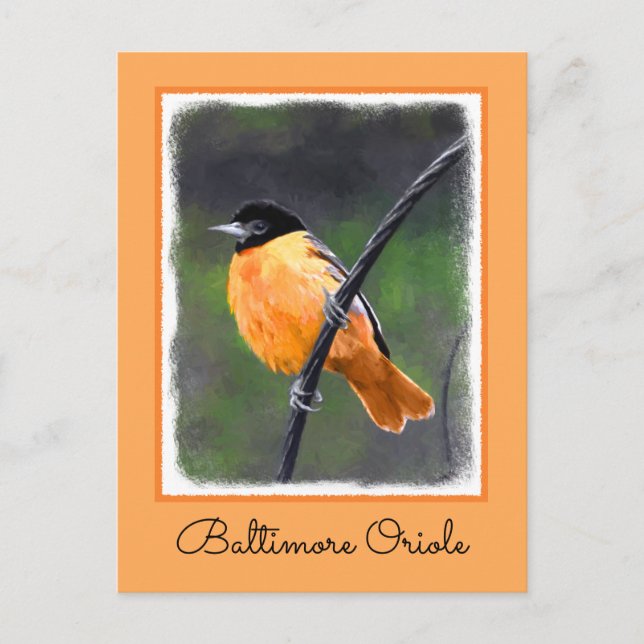 Postal Pintura Oriole - Arte original de aves (Anverso)