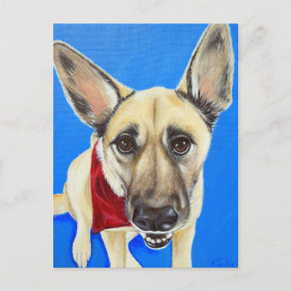 Postal Pintura Punkin