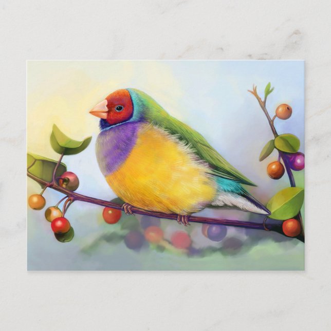Postal Pintura realista de Gouldian (Anverso)