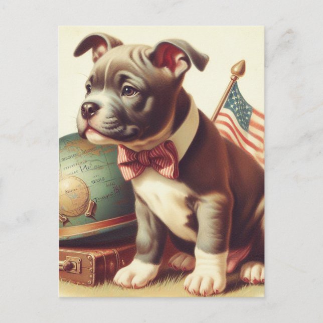Postal Pintura retro-estadounidense de Toro Terrier (Anverso)