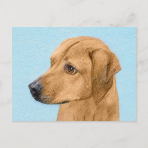 Postal Pintura Ridgeback Rhodesiana - Arte Perro Original