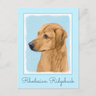 Postal Pintura Ridgeback Rhodesiana - Arte Perro Original