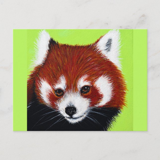 Postal Pintura roja panda (Anverso)
