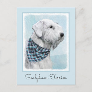 Postal Pintura Sealyham Terrier - Arte Perro Original.