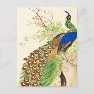 Postal Pintura vintage de pavo real y flores