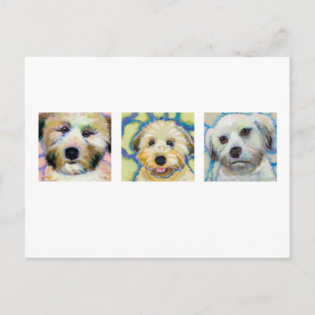 Postal Pinturas de Three Wheaten Terrier - arte de perro  (Anverso)