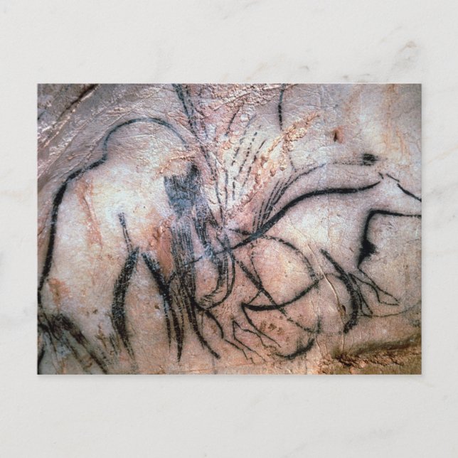 Postal Pinturas que representan mamut y ganado vacuno, de (Anverso)