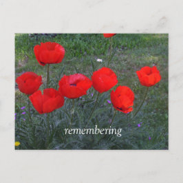 Postal Pinturas rojas brillantes