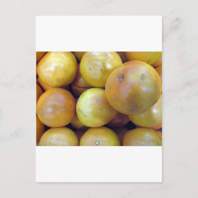 Postal Pinuto rosa (Anverso)