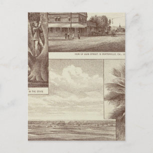 Postal Pioneer Land Co Tract, Porterville