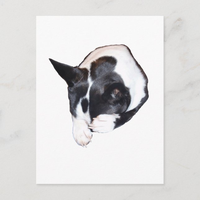 Postal Piper - Dormido (Anverso)