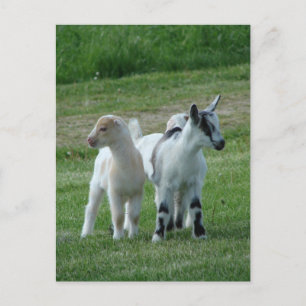 Postal Pippi y gris