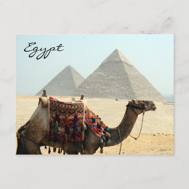 Postal pirámide de camello egypt (Anverso)