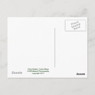 Postal Pirámide de Chacchoban