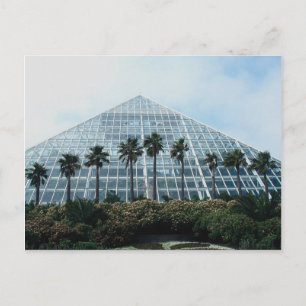 Postal Pirámide de selva tropical, sur de Texas, EE.UU.