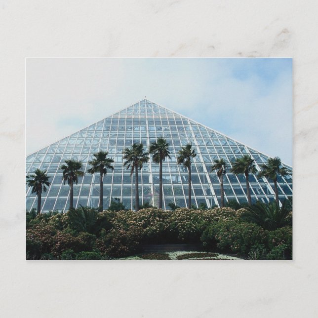 Postal Pirámide de selva tropical, sur de Texas, EE.UU. (Anverso)