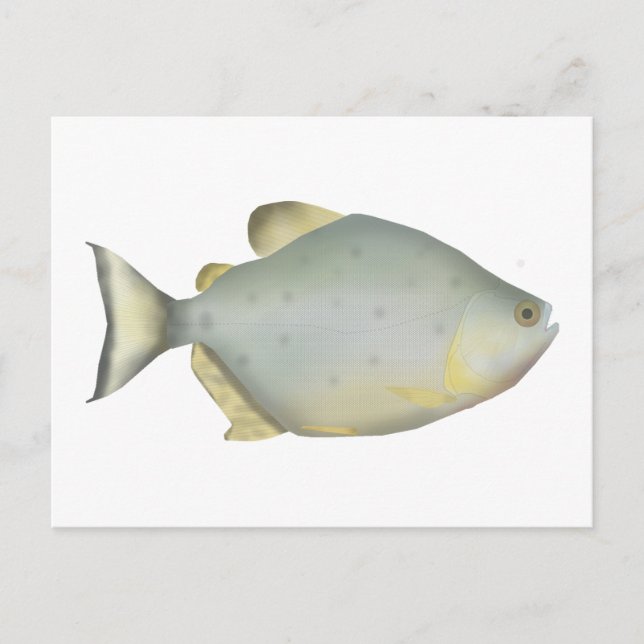 Postal Piranha Rubí Rojo (Anverso)