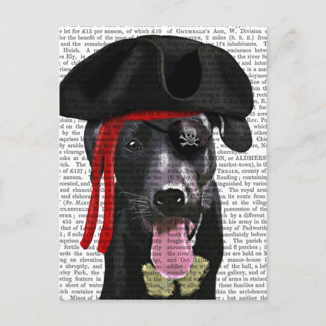 Postal Pirata de Labrador Negro (Anverso)