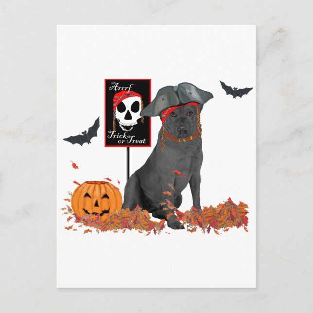 Postal Pirata de recuperación de Labrador Negro (Anverso)