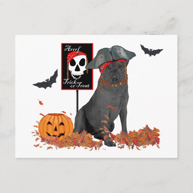 Postal Pirata Labrador Retriever Negro (Anverso)