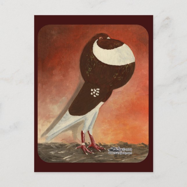 Postal Piruto de cropper de Red Norwich (Anverso)