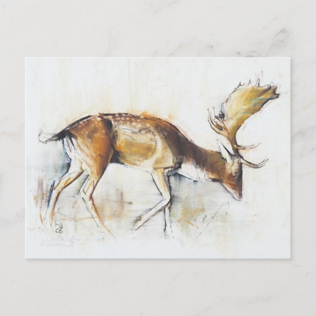 Postal Pisanello Buck 2006 (Anverso)